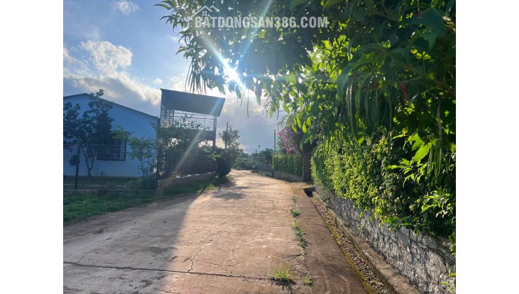 Cần Bán Đất 413m² Có 221m² Thổ Cư, Nở Hậu 13,6m, Gần Đường Nhựa